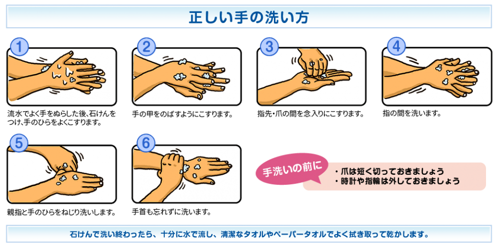 手洗い手順 イラスト 無料 保育園での手洗い指導の手順